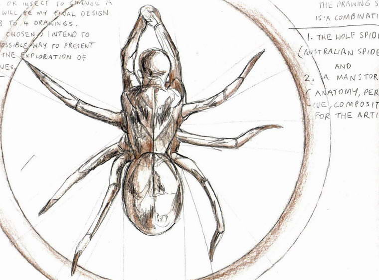 spider draw, 1992, Visual Diary