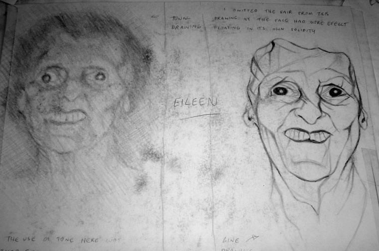 Darwin vis 1, 1993, Visual Diary