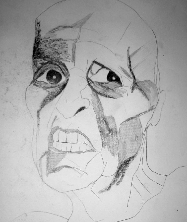 Darwin vis 3, 1993, Visual Diary