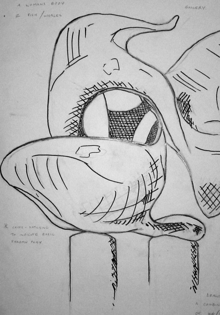 Tafe vis 2, 1996, Visual Diary