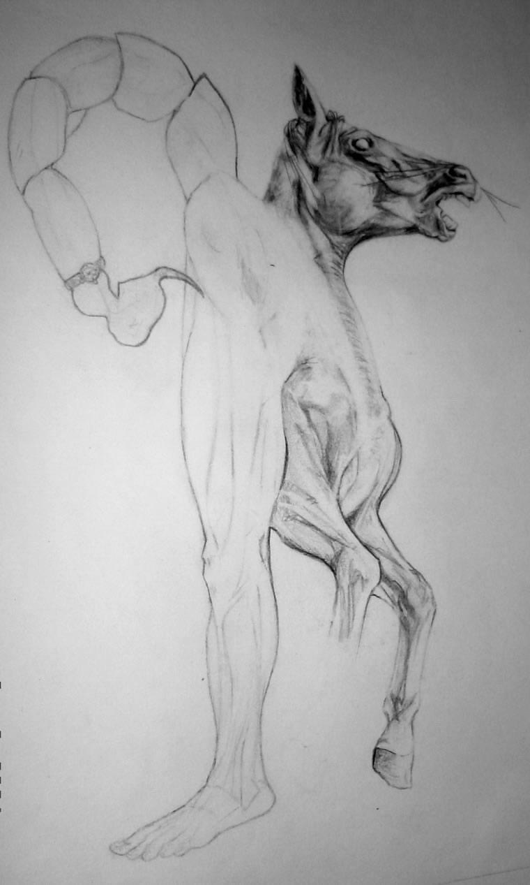 Tafe vis 8, 1996, Visual Diary