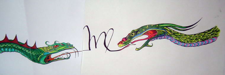 Tafe vis 9, 1996, Visual Diary