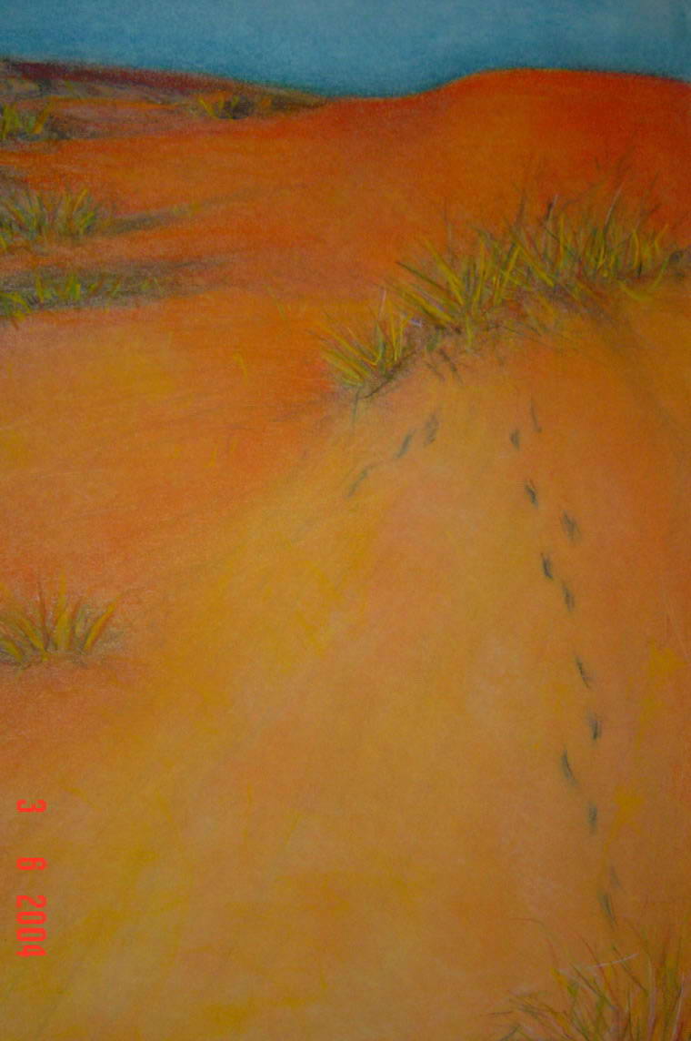 Tafe vis 11, 1997, Visual Diary