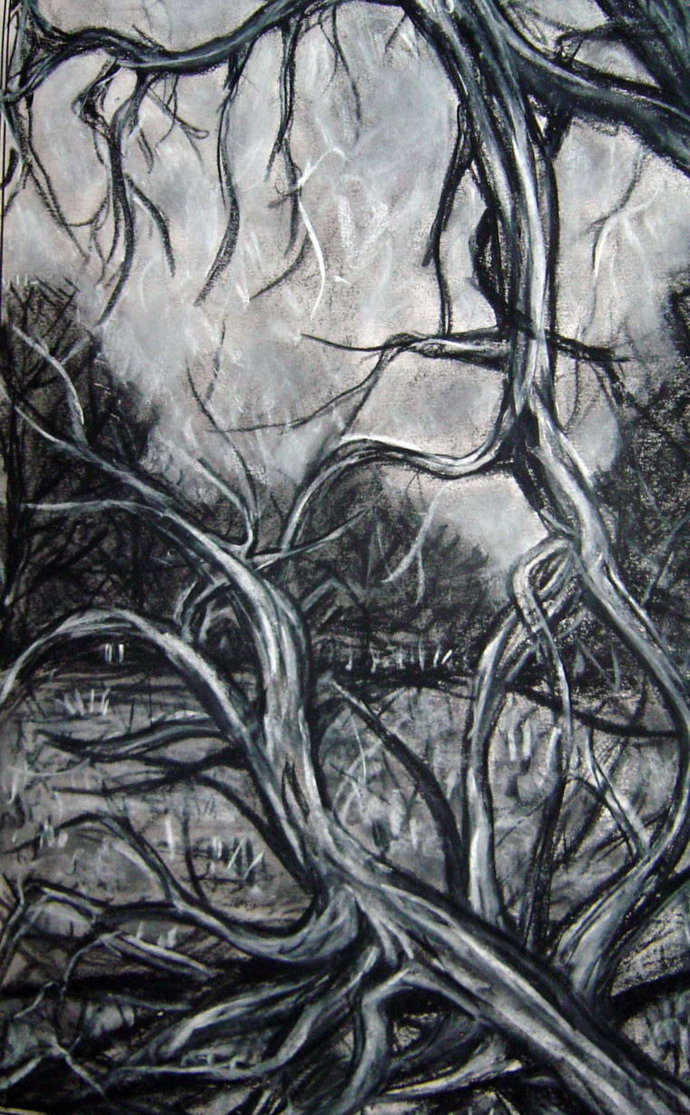 Tafe vis 12, 1997, Visual Diary