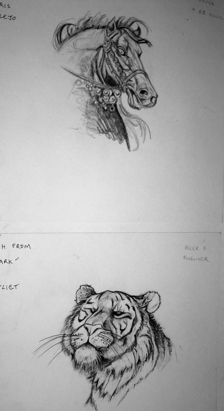 Tafe vis 6, 1997, Visual Diary