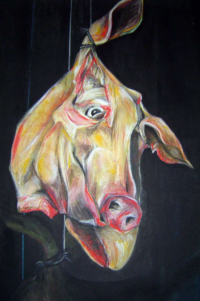 Pigs head, 1997, Drawing