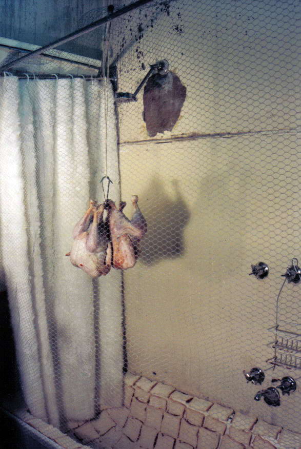 Residue series A, 1998, Installation