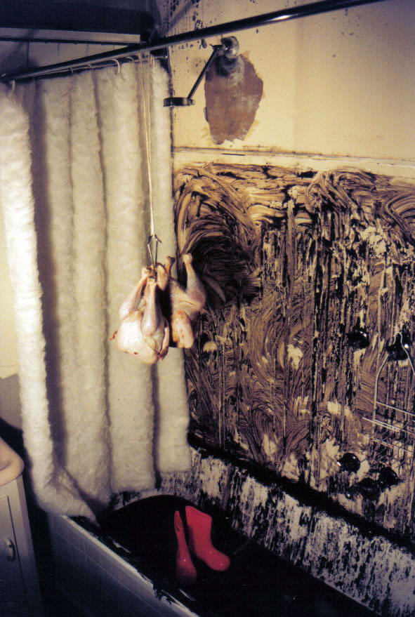 Residue series B, 1998, Installation