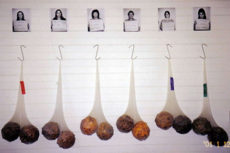 Cluedo, 1999, Installation