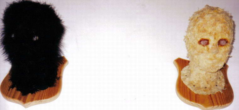 Headjob B, 2000, Installation