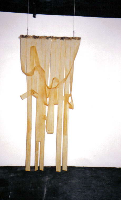 Linguinioscopy, 2001, Installation