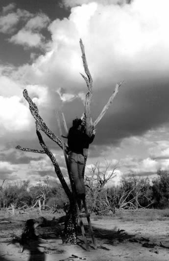 Cindy Jackson, sculpture