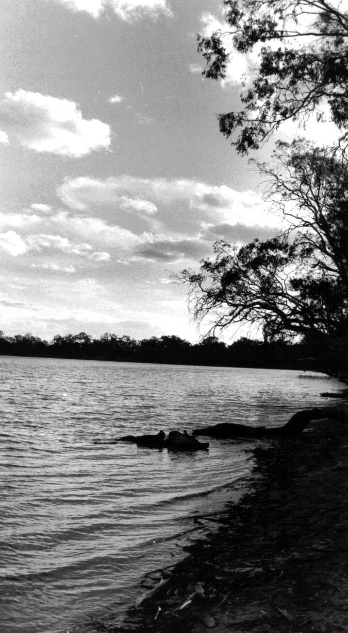Hattah 1, 1996, Photography