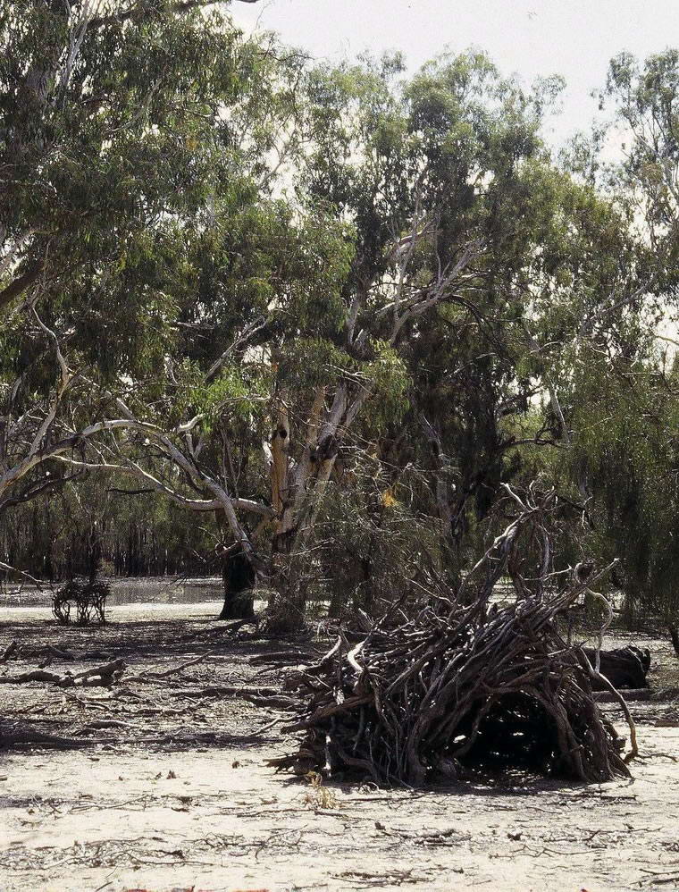 Hut colour, 1996, Photography