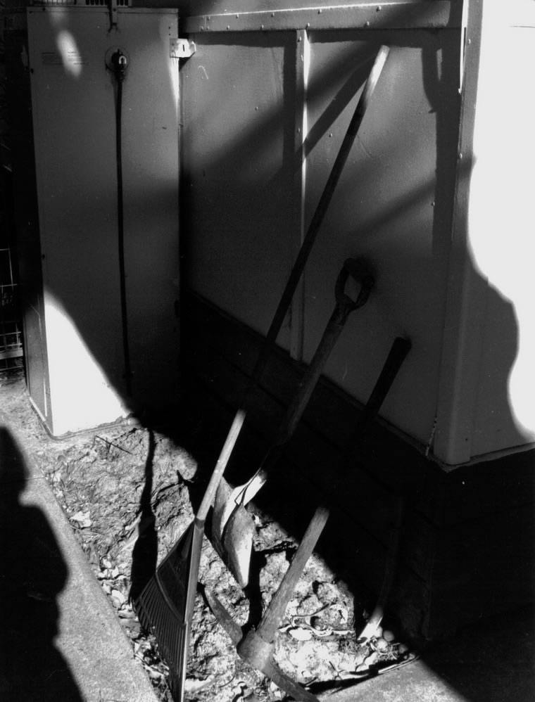 Still life 3, 1996, Photography