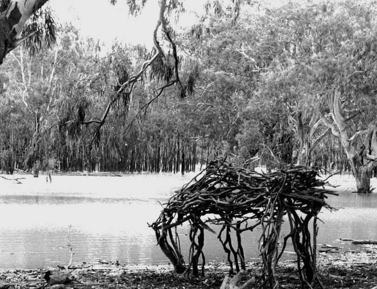 Horse 1, 1997, Photography