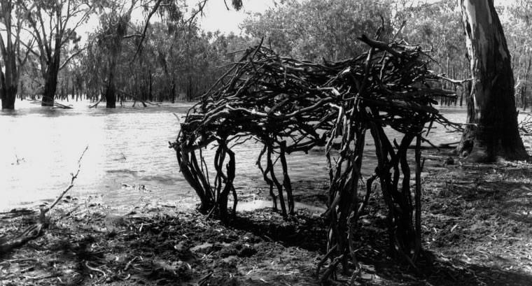 Horse 2, 1997, Photography