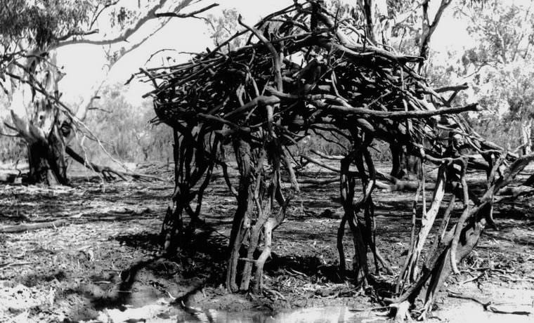 Horse 3, 1997, Photography