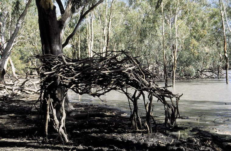 Horse colour, 1997, Photography