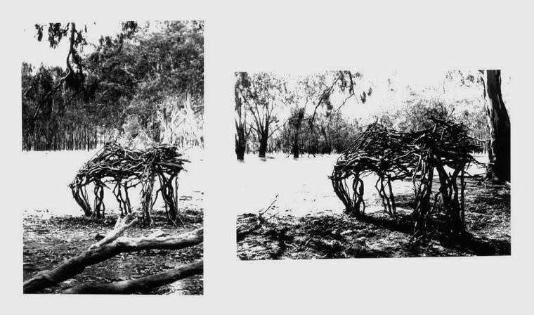 Twin horse, 1997, Photography