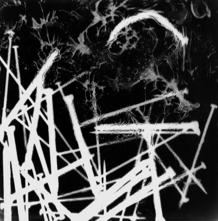 neg, 1999, Photography