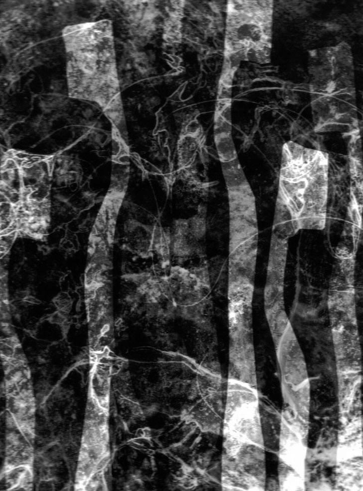 toothbrush 1, 1999, Photography