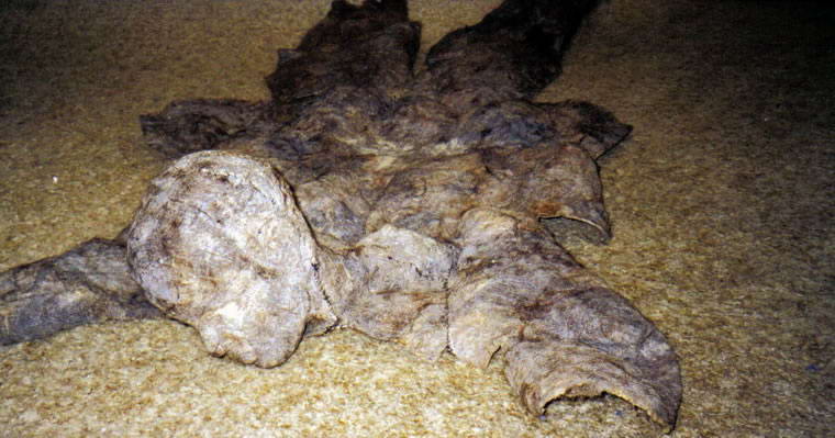 Trophy A, 2001, Sculpture