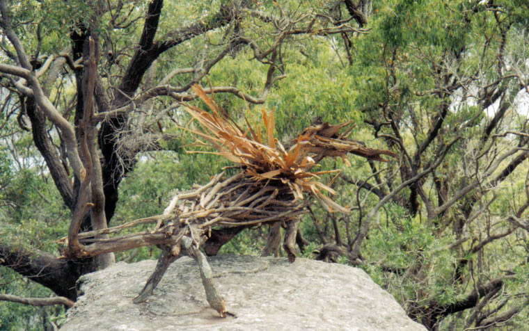 Lizard 3, 2004, Sculpture